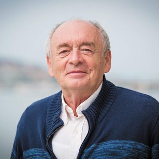 Történészek a politika kritikus mezsgyéin