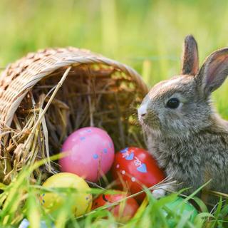 Húsvétra akár 20-26 Celsius-fok is lehet