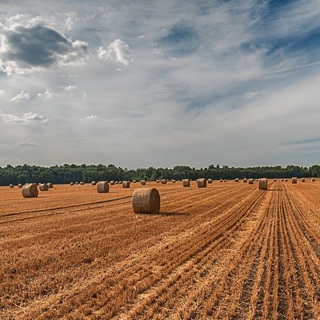 Az EU tanácsa jóváhagyta a közös agrárpolitika felülvizsgálatára vonatkozó javaslatot
