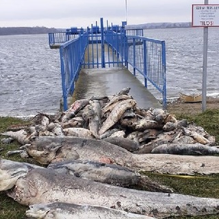 Egy tó mind felett…