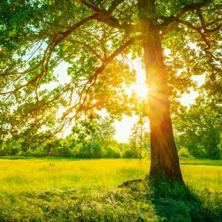  Ma volt az idei első nyári nap – 25 fok volt sok helyen