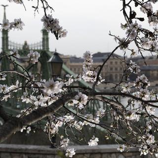 Az idei volt a legenyhébb március 1901 óta