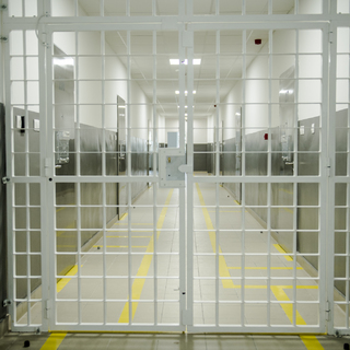 Négy macska pusztulását okozó állatkínzás bűntette miatt kell fogházba vonulnia két nógrádi férfinak