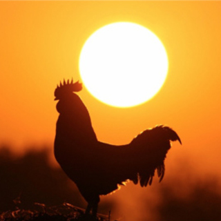 Megdőlt az országos hajnali melegrekord kedden