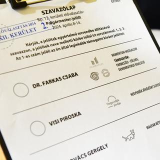 Zajlik a hegyvidéki előválasztás