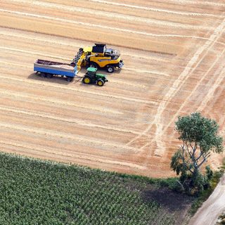 Pénzeső hullott a magyar gazdákra, megkezdődött a támogatások kifizetése