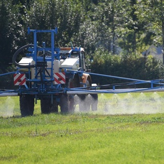 Tíz évig még perek, viták lesznek, rákkeltő-e a glifozát