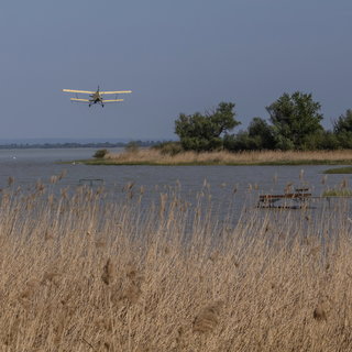 Ezekben a vármegyékben irtja a katasztrófavédelem a szúnyoglárvákat