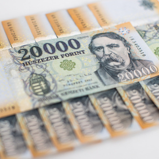 Pénzhamisítás miatt őrizetbe vettek két férfit Borsodban