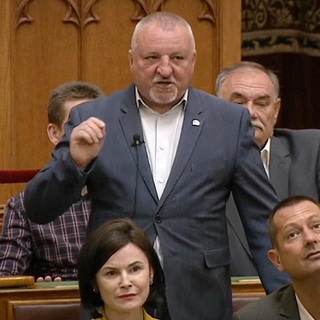 "Olyan polgármesterek és EP-képviselők kellenek, akik érzik is a magyarok problémáit"