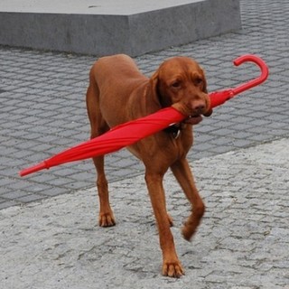 Hét elején még lehet eső, majd naposra fordul az időjárás