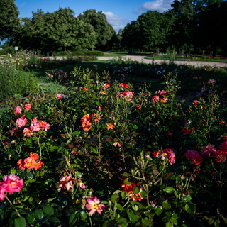 Ez volt a legmelegebb tavasz a mérések kezdete óta Magyarországon