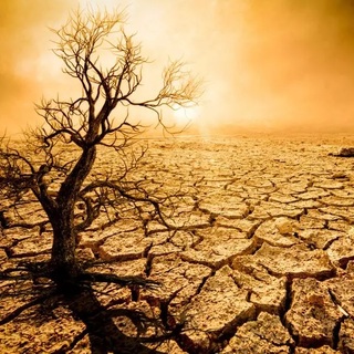 Veszélybe kerül az egész emberiség jövőre, a felmelegedés miatt