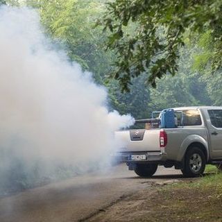 Az árhullám után indul a szúnyogok elleni védekezés a Duna mentén