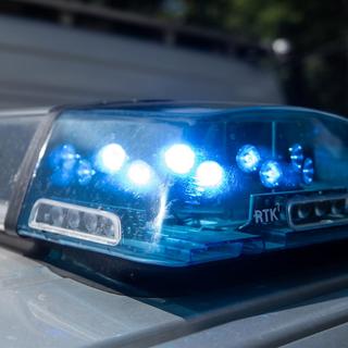 Elütötte, majd viperával verte össze felesége szeretőjét egy borsodi férfi