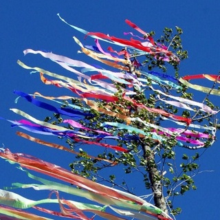 Akkora buli volt a választás után, hogy Somlószőlősön még a májusfát is kivágták