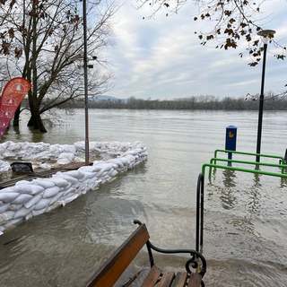 Ha nem gyérítenék ki az erdőket, nem okozna annyi gondot a lezúduló eső