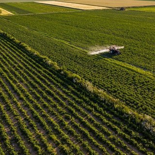 Ennyibe kerül most egy hektárnyi termőföld Magyarországon, nagyok a területi különbségek