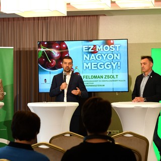 Jó hír érkezett a magyarok egyik kedvenc gyümölcséről