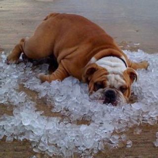 Magas középhőmérsékletre figyelmeztet a meteorológiai szolgálat