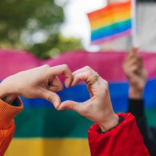 Orbán attól tart, hogy az emberek bútorokkal, vagy állatokkal köthetnek házasságot