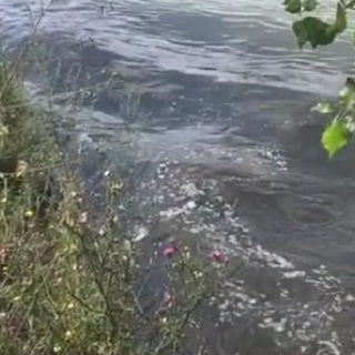 Stagnál az örökítőanyag koncentrációja a szennyvízben