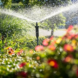 Locsolási tilalmat rendeltek el az egyik Pest vármegyei településen