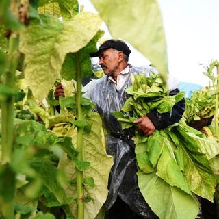 Fokozott ellenőrzést jelentett be a NAV, ez a célpont mostantól