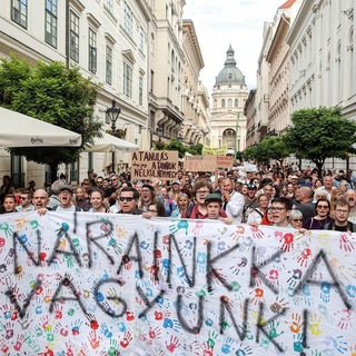 Kutatás: növekszik az egyetemi hallgatók politikai aktivitása