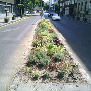 Ezért is kell zöldíteni a betonrengetegben