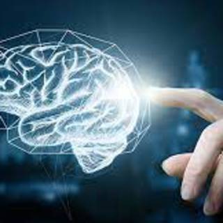 Új felfedezés segíthet az agyat érintő betegségek okainak megértésében