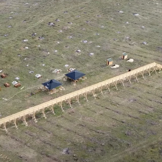 Nyomoz az Európai Ügyészség a lombkoronasétányok ügyében