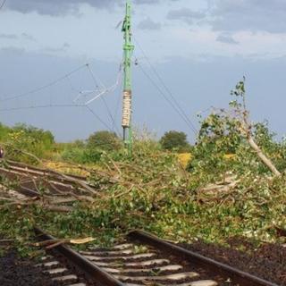 Vihar miatt kidőlt fának hajtott egy InterCity Zala vármegyében