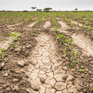 A legmelegebb és a hetedik legszárazabb volt a július 1901 óta