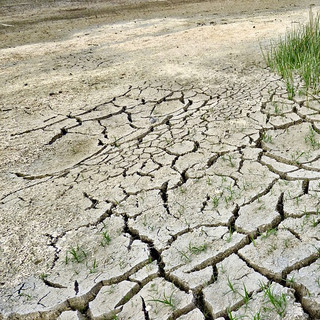 Egyre több az aszálykáros terület Magyarországon