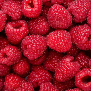 Ezért búcsúzhatunk el a magyar málnától