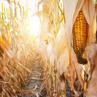 A hétvégén folytatódik a melegedés