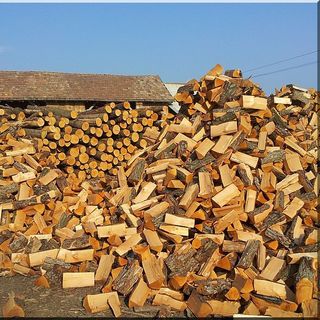 Lesz-e idén is árstop a tűzifára?