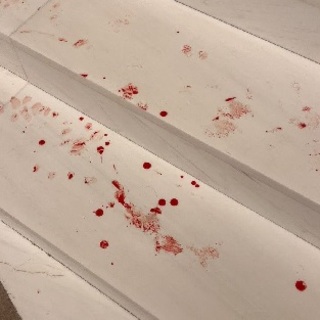 Vér folyt a török parlamentben