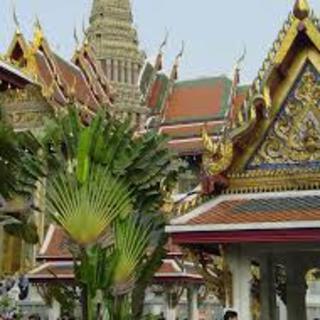 Thaiföldön három héten belül feláll az új kormány