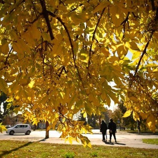Derült, száraz, de hideg idő várható november első hetében