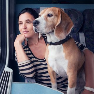 Nagy változást jelentett be a MÁV, sok utast érint