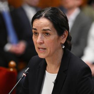 Orbán Anita az orosz nagykövetnek elmondta, elfogadhatatlan, hogy Kárpátalját is támadják