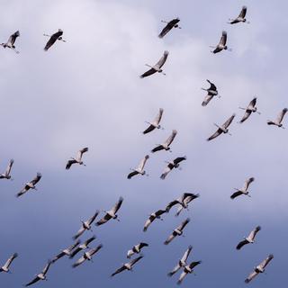 Ködös reggelek, hűvös nappalok jönnek a jövő héten