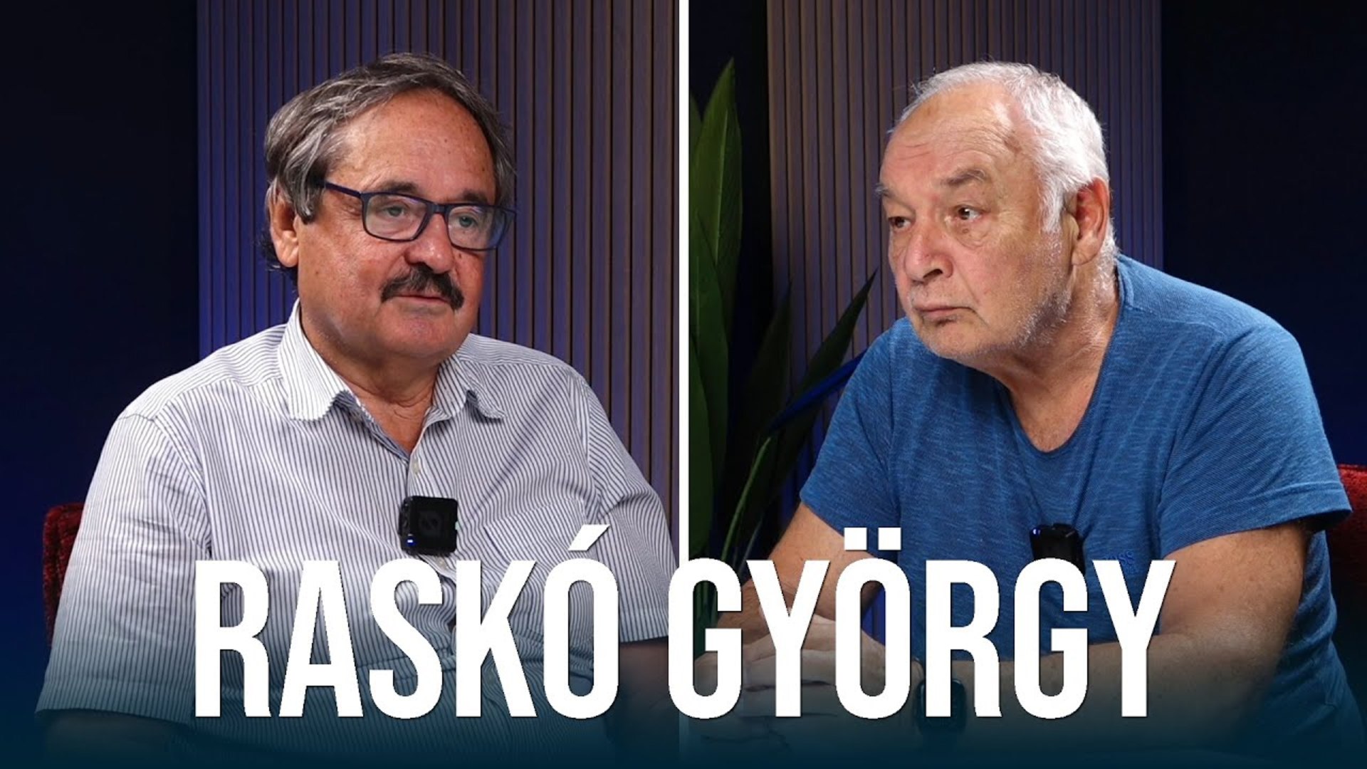A magyar búzának meg kell küzdenie az ukrán versenytársakkal Kép