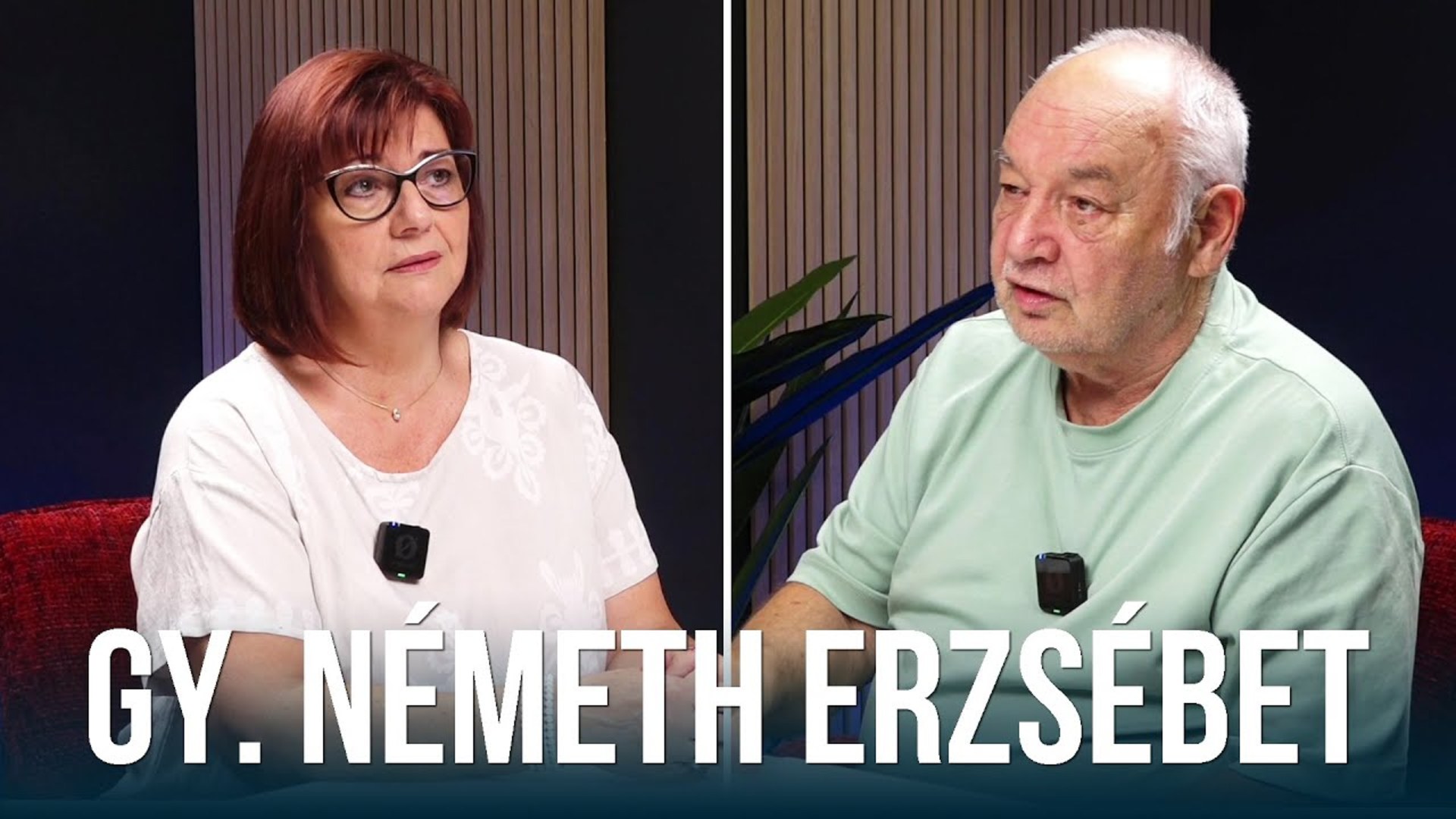 Minden választókerületet meg fog nyerni az ellenzék Budapesten Kép